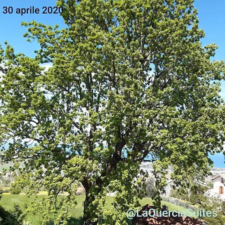 Torretta Nel Borgo Medievale Montone (Abruzzo)