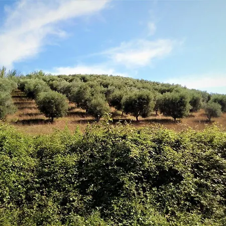 La Quercia - La Torretta Country house *