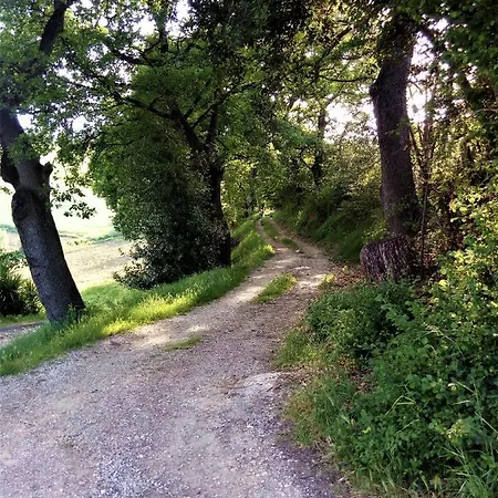 Torretta Nel Borgo Medievale * Montone (Abruzzo)