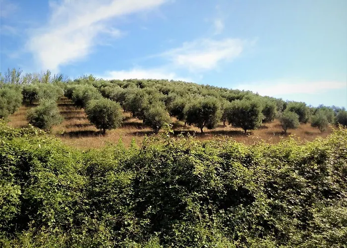 La Quercia - La Torretta Casa rural *