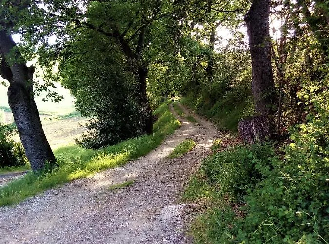La Quercia - La Torretta * Montone (Abruzzo)